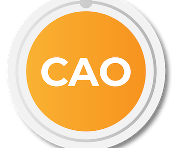 Creating Agile Organizations