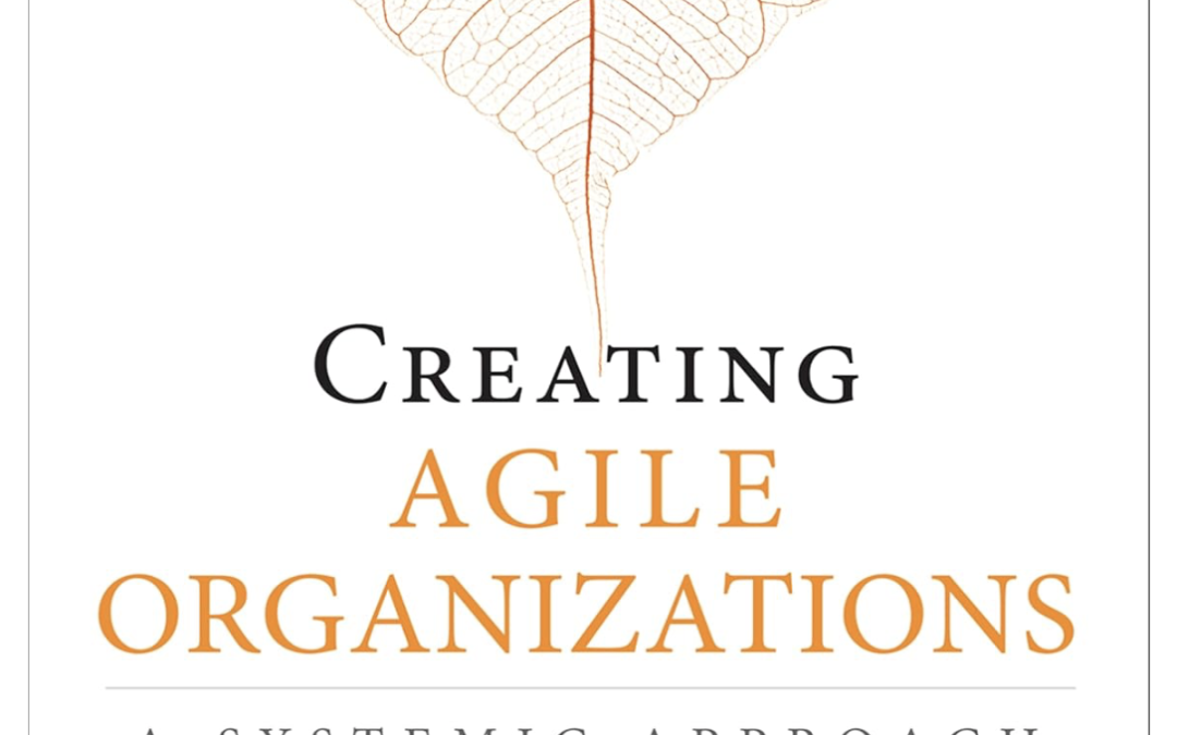 Evolving Agile Frameworks