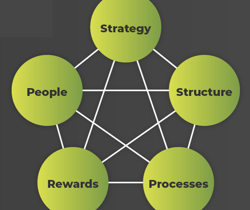 Stop Fixing Symptoms – Fix Your Organizational Design Instead