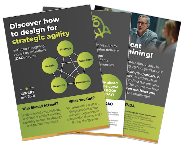 DAO-brochure-click-page Designing Agile Organizations course